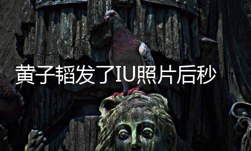 我不片后秒删U照追星这种爱韬发黄子解释了I说是在是一